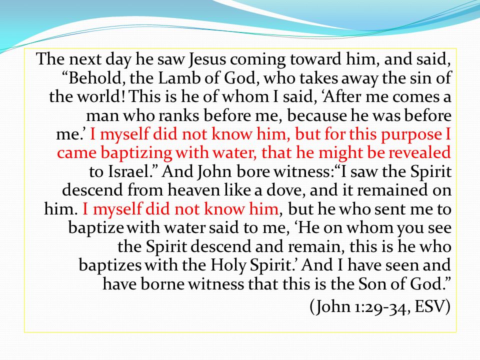 The next day he saw Jesus coming toward him, and said, Behold, the Lamb of God, who takes away the sin of the world.