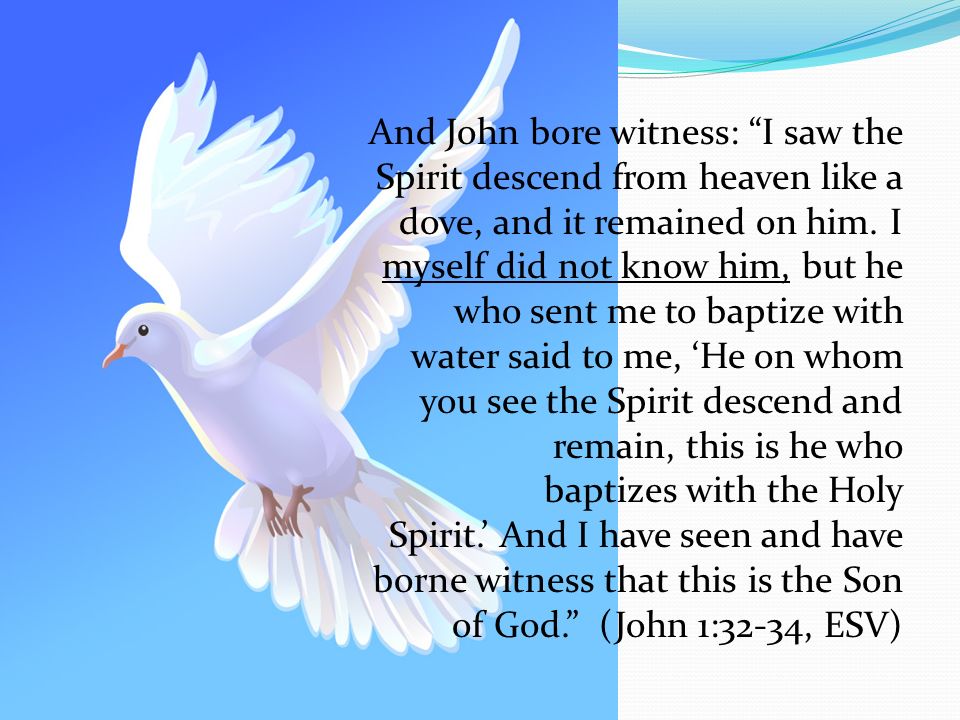 And John bore witness: I saw the Spirit descend from heaven like a dove, and it remained on him.