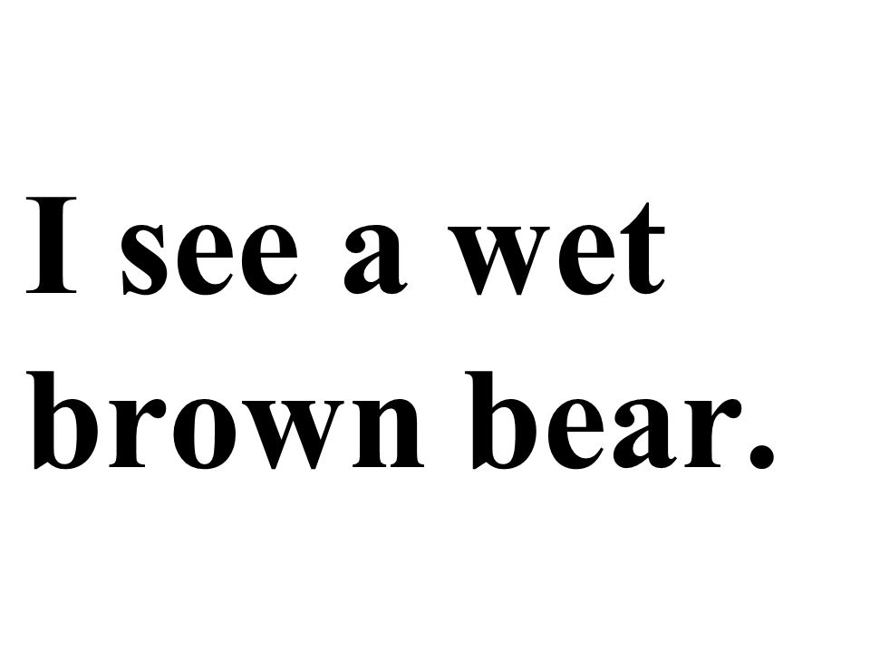 I see a wet brown bear.