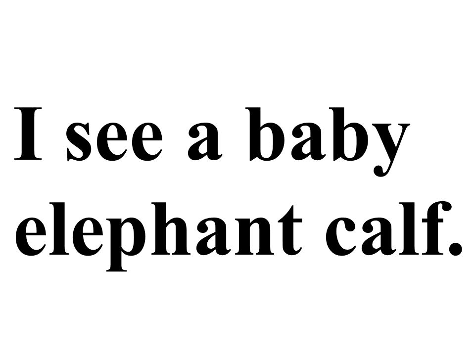 I see a baby elephant calf.
