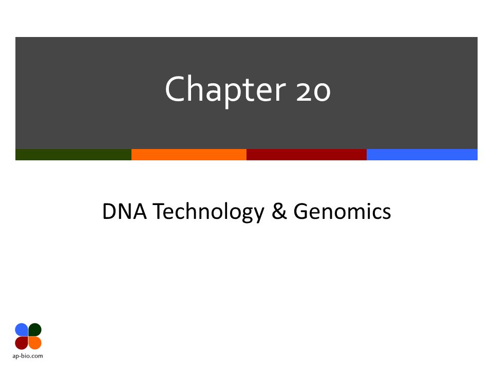 Chapter 20 DNA Technology & Genomics