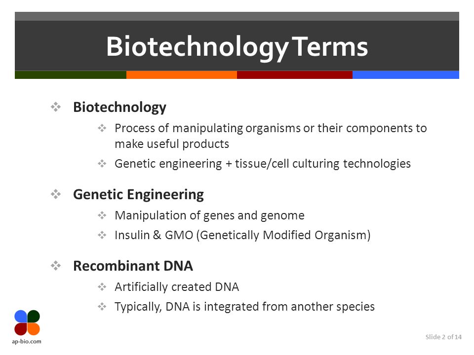 Slide 2 of 14 Biotechnology Terms Biotechnology Process of manipulating organisms or their components to make useful products Genetic engineering + tissue/cell culturing technologies Genetic Engineering Manipulation of genes and genome Insulin & GMO (Genetically Modified Organism) Recombinant DNA Artificially created DNA Typically, DNA is integrated from another species