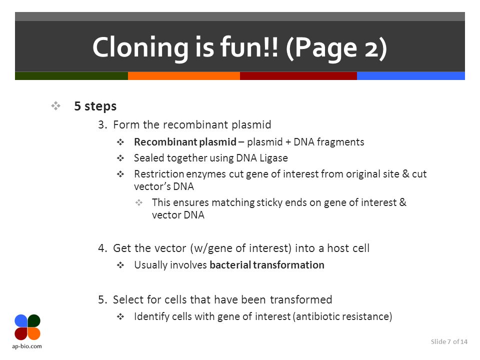 Slide 7 of 14 Cloning is fun!. (Page 2) 5 steps 3.