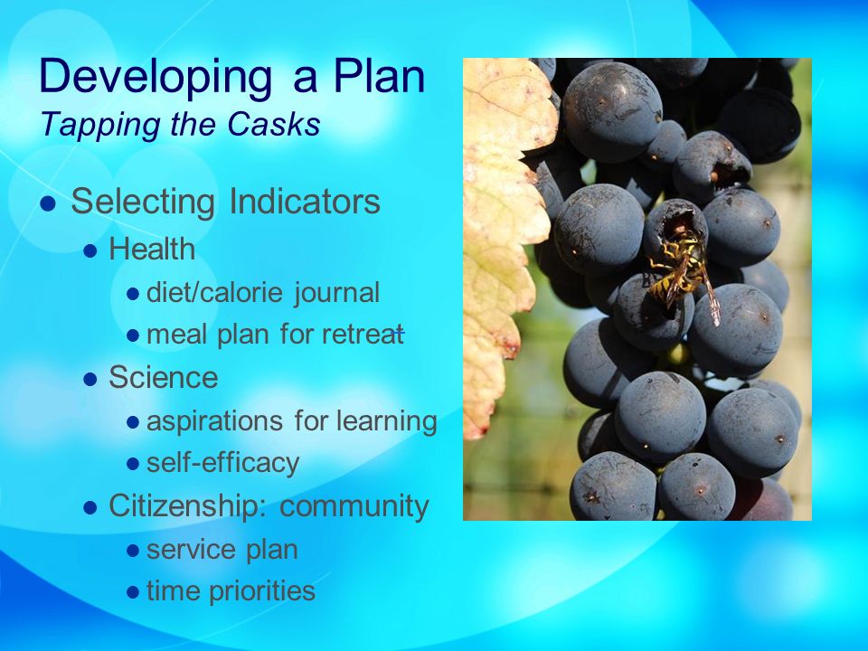 Developing a Plan Tapping the Casks Selecting Indicators Health diet/calorie journal meal plan for retreat Science aspirations for learning self-efficacy Citizenship: community service plan time priorities