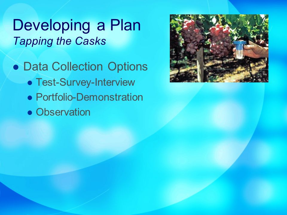 Developing a Plan Tapping the Casks Data Collection Options Test-Survey-Interview Portfolio-Demonstration Observation
