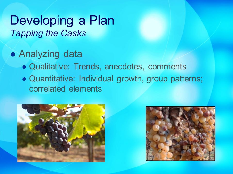 Developing a Plan Tapping the Casks Analyzing data Qualitative: Trends, anecdotes, comments Quantitative: Individual growth, group patterns; correlated elements