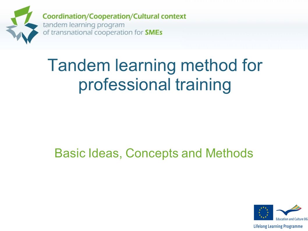 Tandem learning method for professional training Basic Ideas, Concepts and Methods