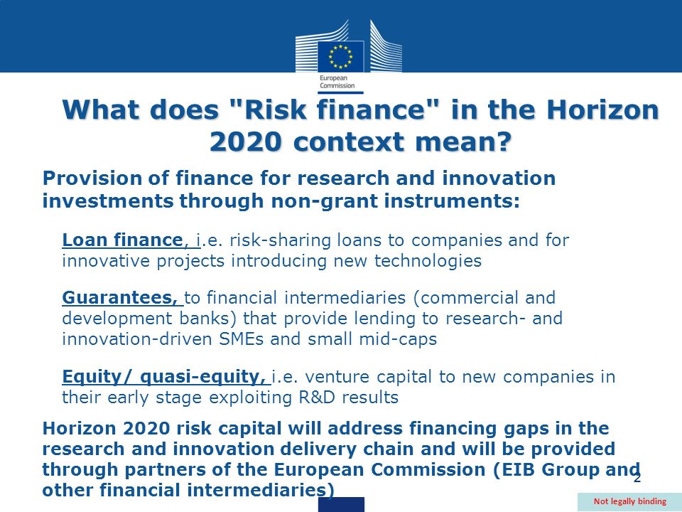 2 What does Risk finance in the Horizon 2020 context mean.