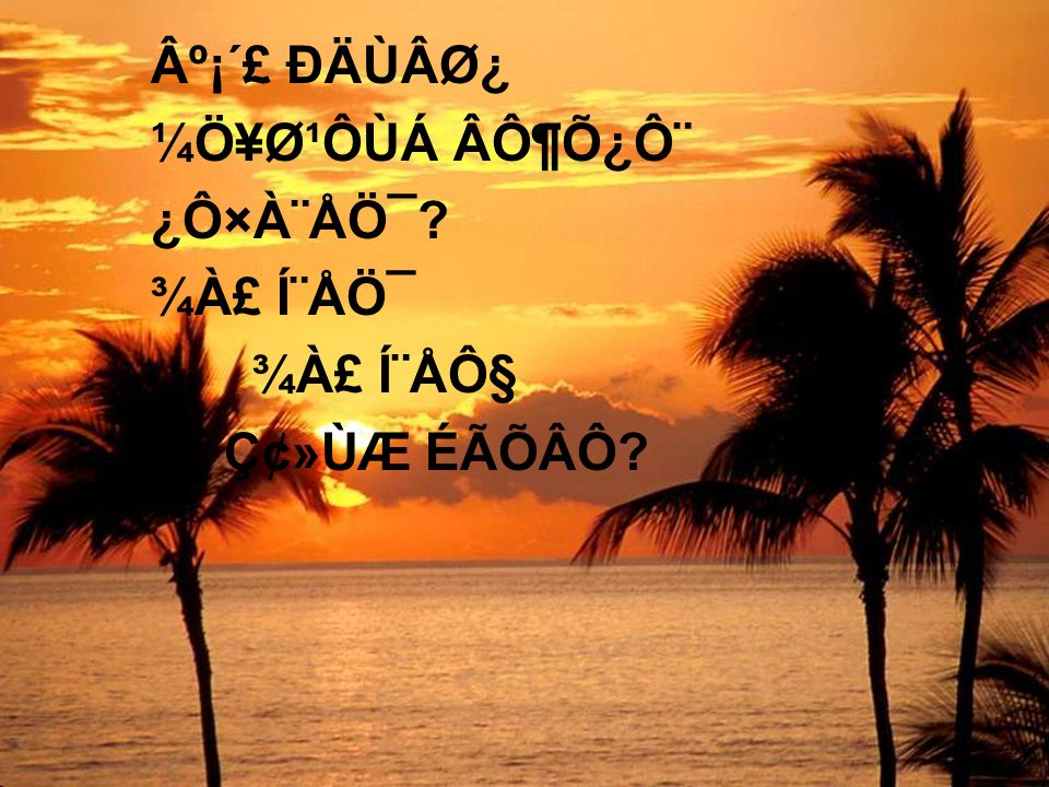 Aoc Aªeaoa Y O Ao Aua I Ae O Aeo A I Ao A I Ao C e O Aoc Aªeaoa Y O Ao Aua I Ae O Aeo A I Ao A I Ao C e O Ppt Download