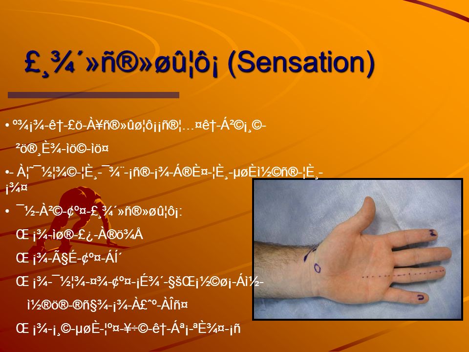 º N C Ai C I O E S œ C O Musculoœskeletal System Msk C E O Ae O O C E C O Dr Lanice Jones 10 Th Ppt Download