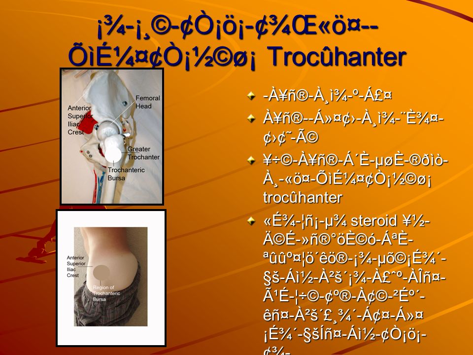 º N C Ai C I O E S œ C O Musculoœskeletal System Msk C E O Ae O O C E C O Dr Lanice Jones 10 Th Ppt Download