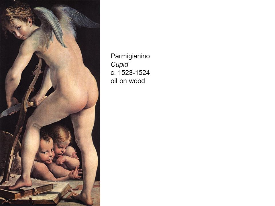 Parmigianino Cupid c oil on wood