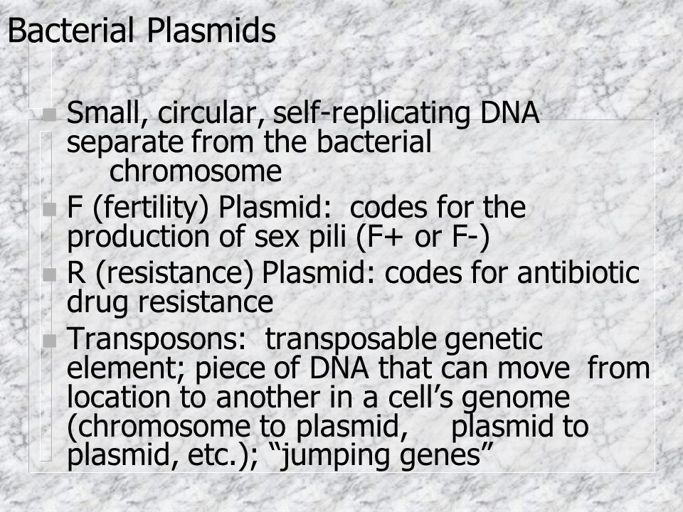 Bacterial Plasmids n Small, circular, self-replicating DNA separate from the bacterial chromosome n F (fertility) Plasmid: codes for the production of sex pili (F+ or F-) n R (resistance) Plasmid: codes for antibiotic drug resistance n Transposons: transposable genetic element; piece of DNA that can move from location to another in a cells genome (chromosome to plasmid, plasmid to plasmid, etc.); jumping genes