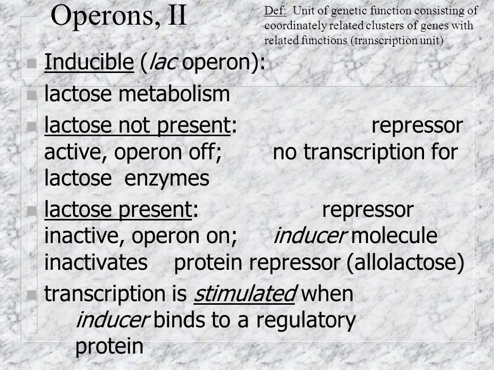 Operons, II n Inducible (lac operon): n lactose metabolism n lactose not present: repressor active, operon off; no transcription for lactose enzymes n lactose present: repressor inactive, operon on; inducer molecule inactivates protein repressor (allolactose) n transcription is stimulated when inducer binds to a regulatory protein Def: Unit of genetic function consisting of coordinately related clusters of genes with related functions (transcription unit)