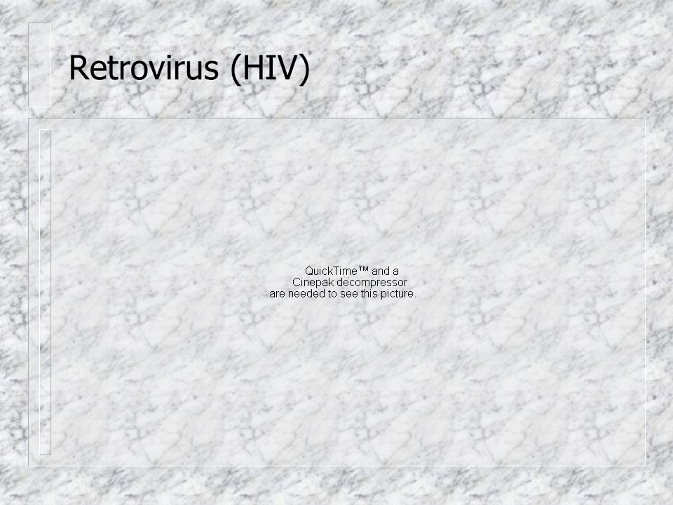 Retrovirus (HIV)