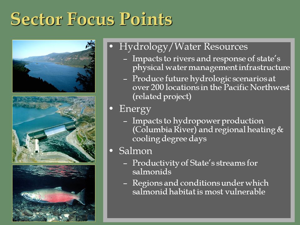 Sector Focus Points Hydrology/Water Resources –Impacts to rivers and response of states physical water management infrastructure –Produce future hydrologic scenarios at over 200 locations in the Pacific Northwest (related project) Energy –Impacts to hydropower production (Columbia River) and regional heating & cooling degree days Salmon –Productivity of States streams for salmonids –Regions and conditions under which salmonid habitat is most vulnerable