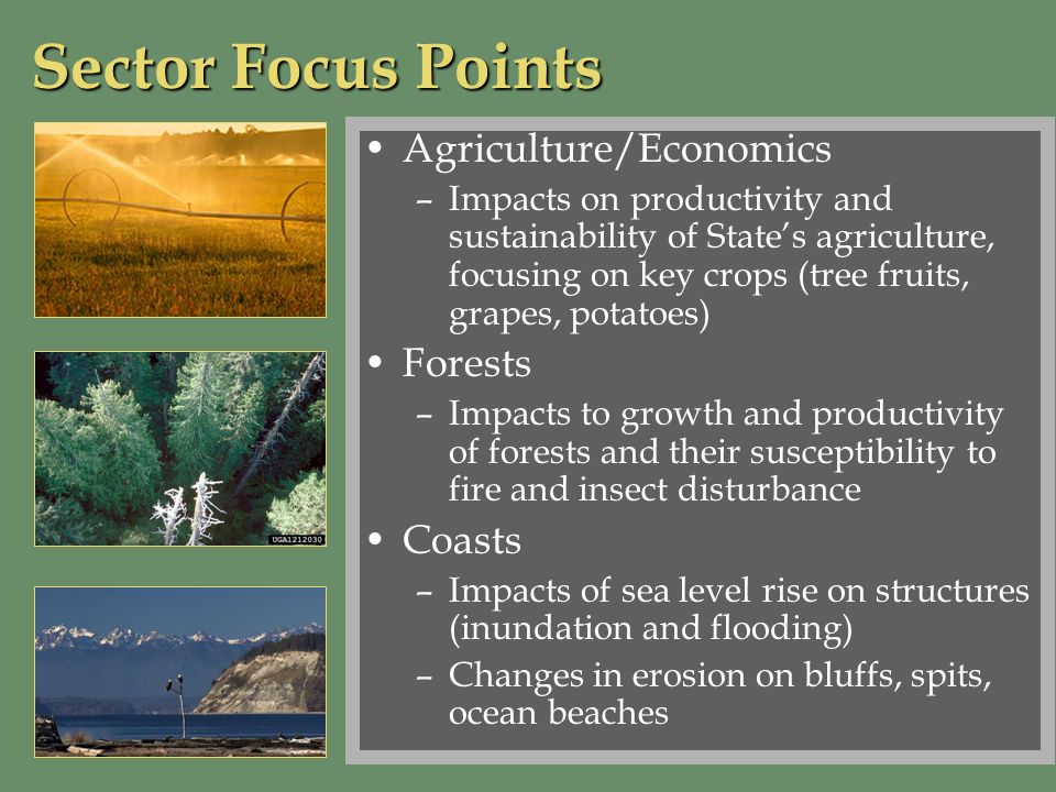 Agriculture/Economics –Impacts on productivity and sustainability of States agriculture, focusing on key crops (tree fruits, grapes, potatoes) Forests –Impacts to growth and productivity of forests and their susceptibility to fire and insect disturbance Coasts –Impacts of sea level rise on structures (inundation and flooding) –Changes in erosion on bluffs, spits, ocean beaches Sector Focus Points