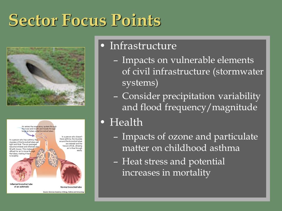 Infrastructure –Impacts on vulnerable elements of civil infrastructure (stormwater systems) –Consider precipitation variability and flood frequency/magnitude Health –Impacts of ozone and particulate matter on childhood asthma –Heat stress and potential increases in mortality Sector Focus Points