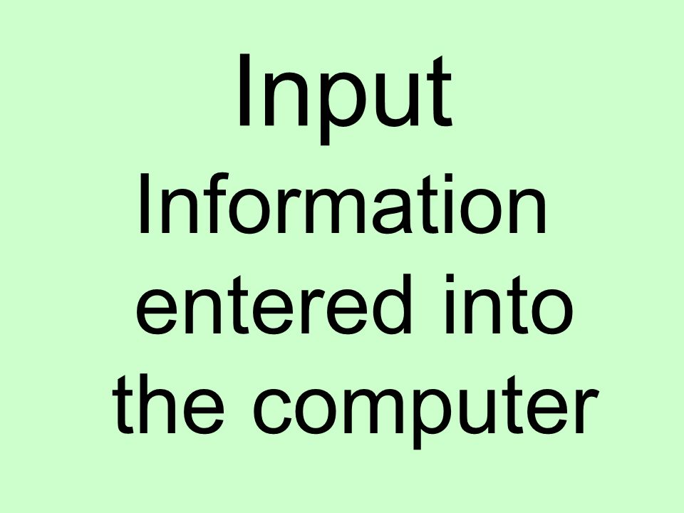 Input Information entered into the computer