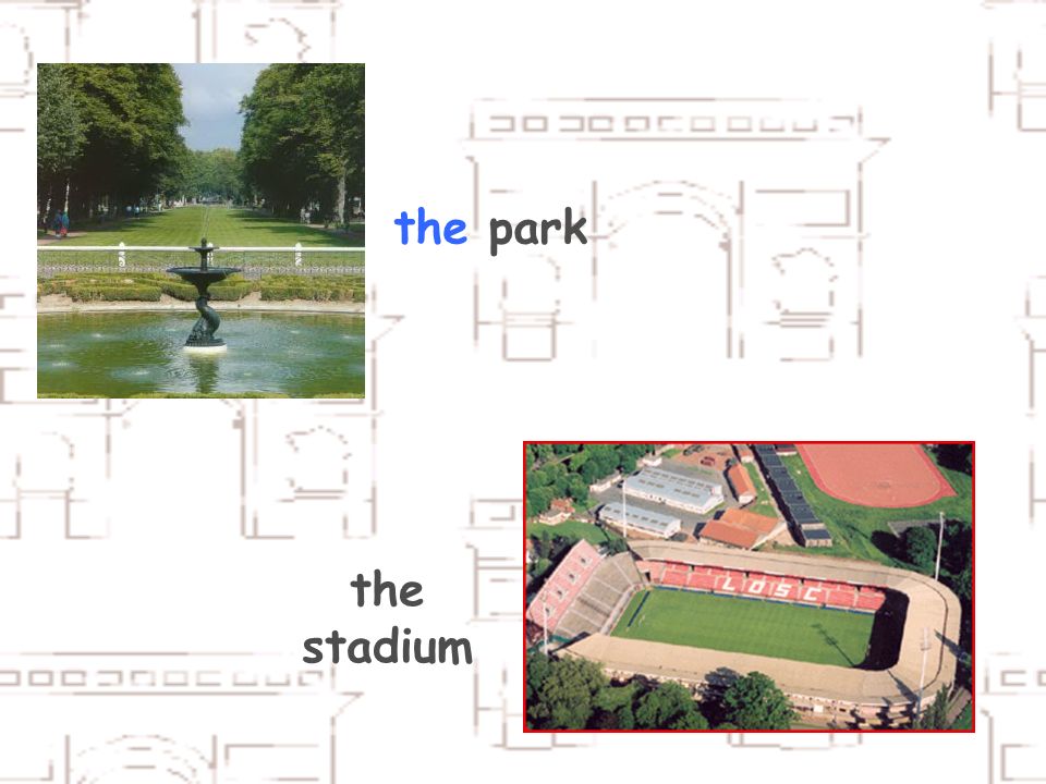 the park the stadium