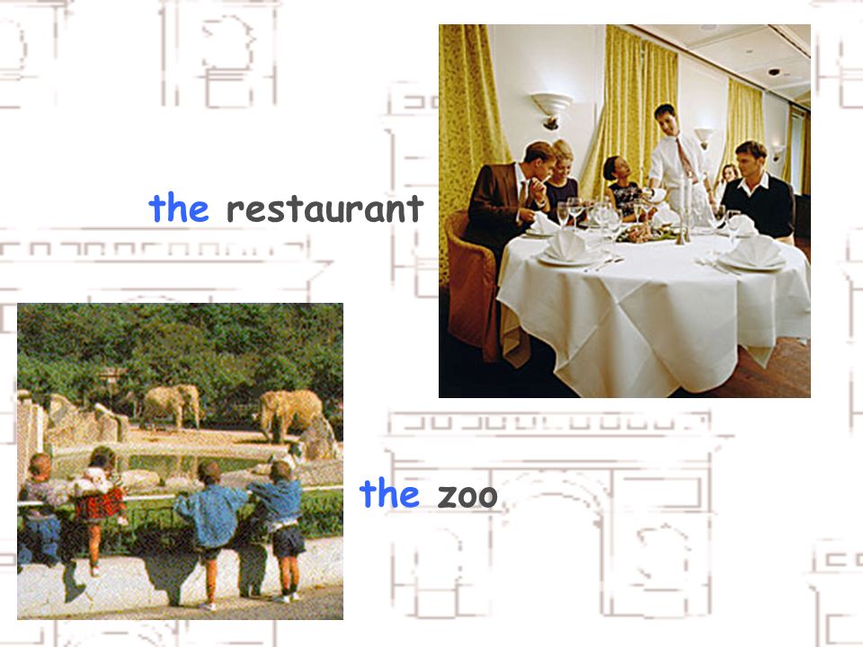 the restaurant the zoo