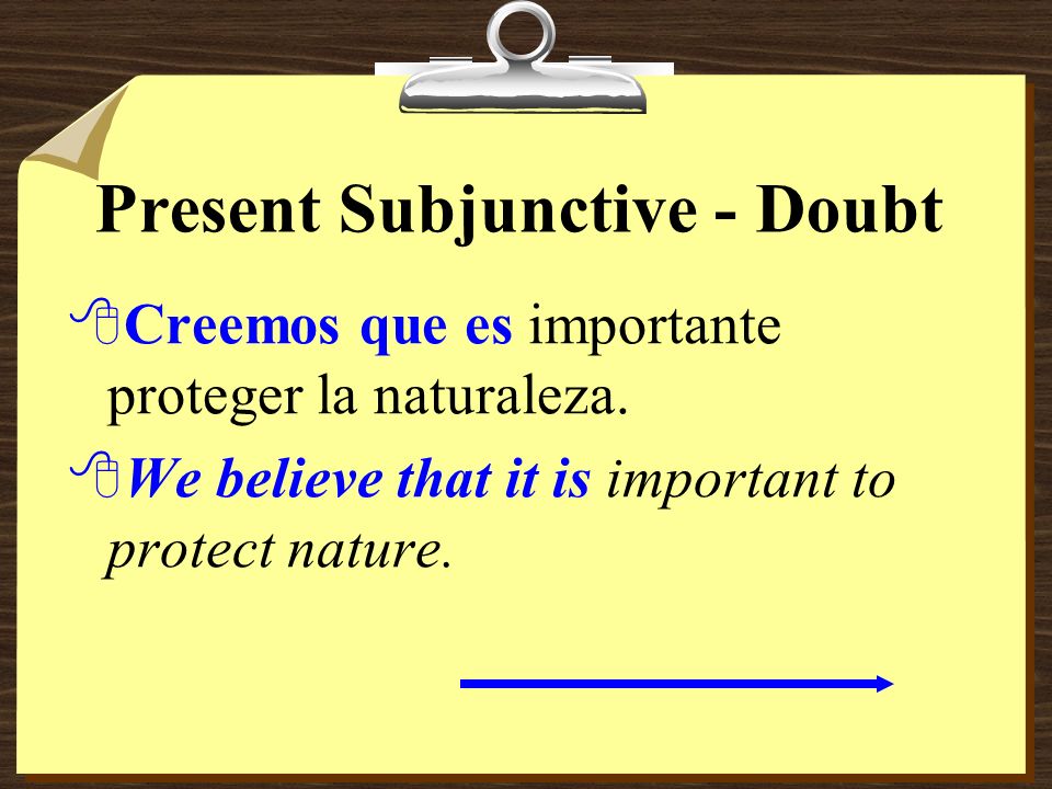 Present Subjunctive - Doubt 8Estoy seguro de que destruyen los bosques.