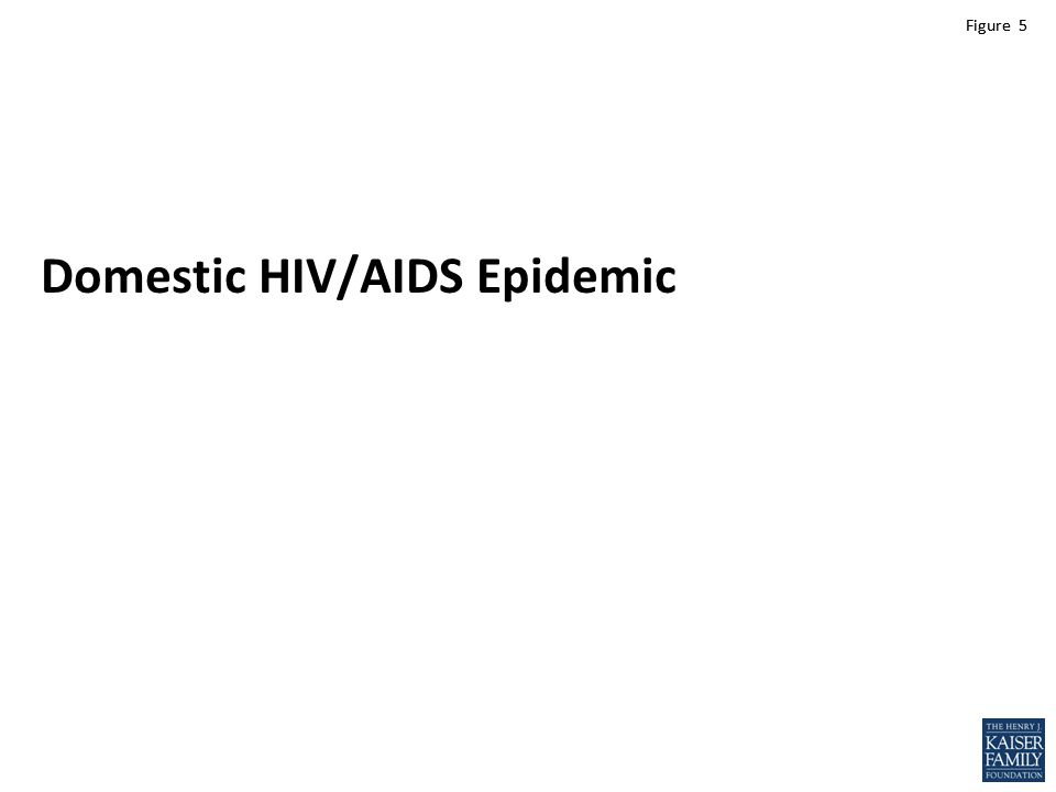 Figure 5 Domestic HIV/AIDS Epidemic