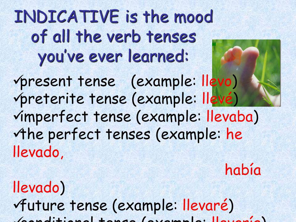 In Spanish, there are 2 moods: INDICATIVE and SUBJUNCTIVE THE BIG PICTUR E