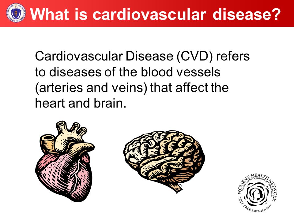 Cardiovascular Disease (CVD) refers to diseases of the blood vessels (arteries and veins) that affect the heart and brain.