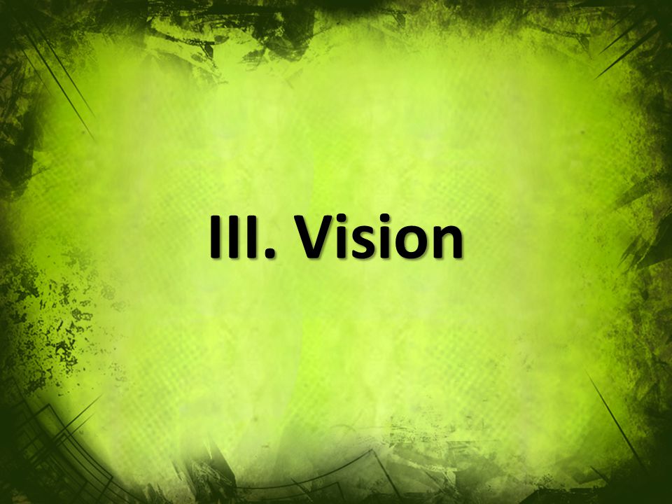 III. Vision