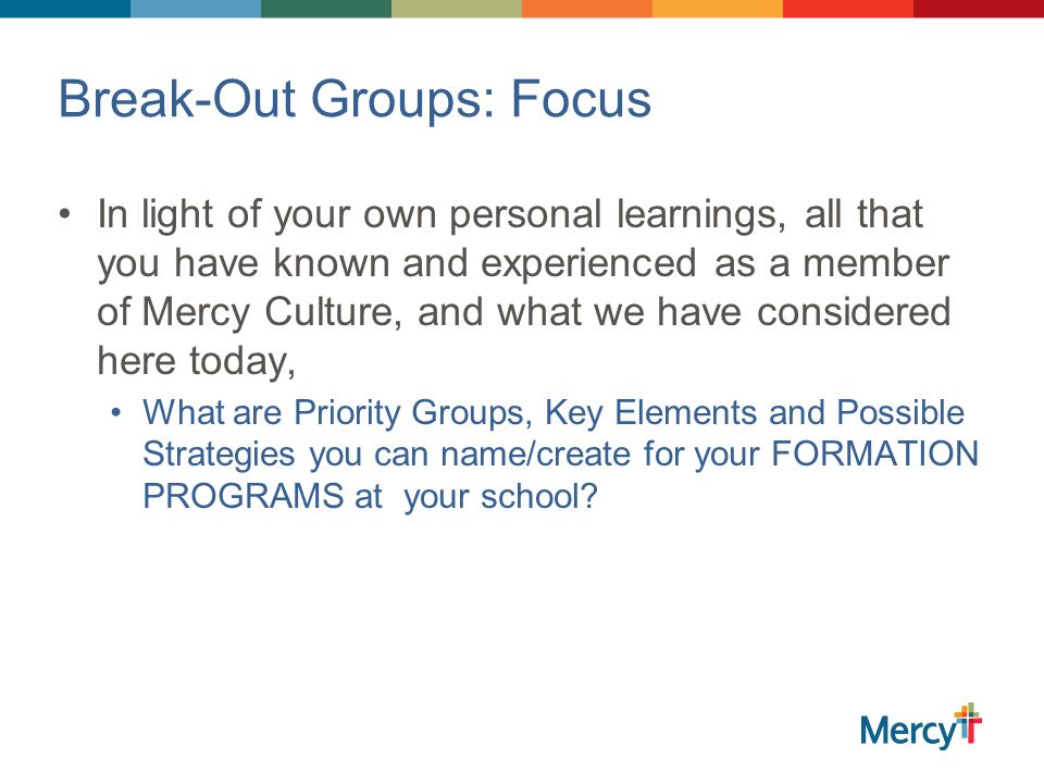 Break-Out Groups: Focus In light of your own personal learnings, all that you have known and experienced as a member of Mercy Culture, and what we have considered here today, What are Priority Groups, Key Elements and Possible Strategies you can name/create for your FORMATION PROGRAMS at your school