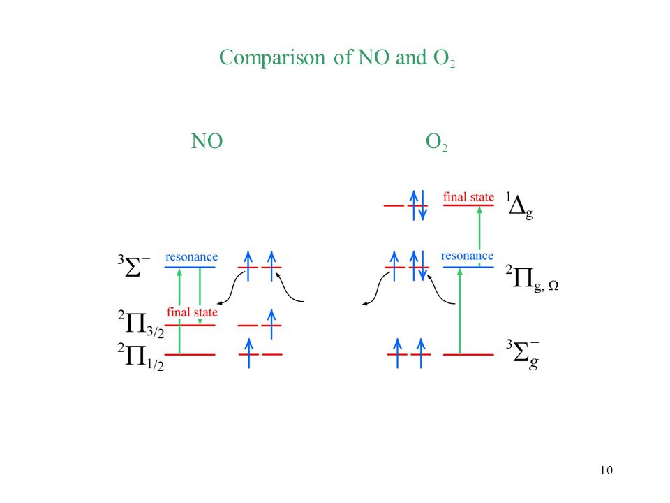 10 Comparison of NO and O 2 NOO2O2