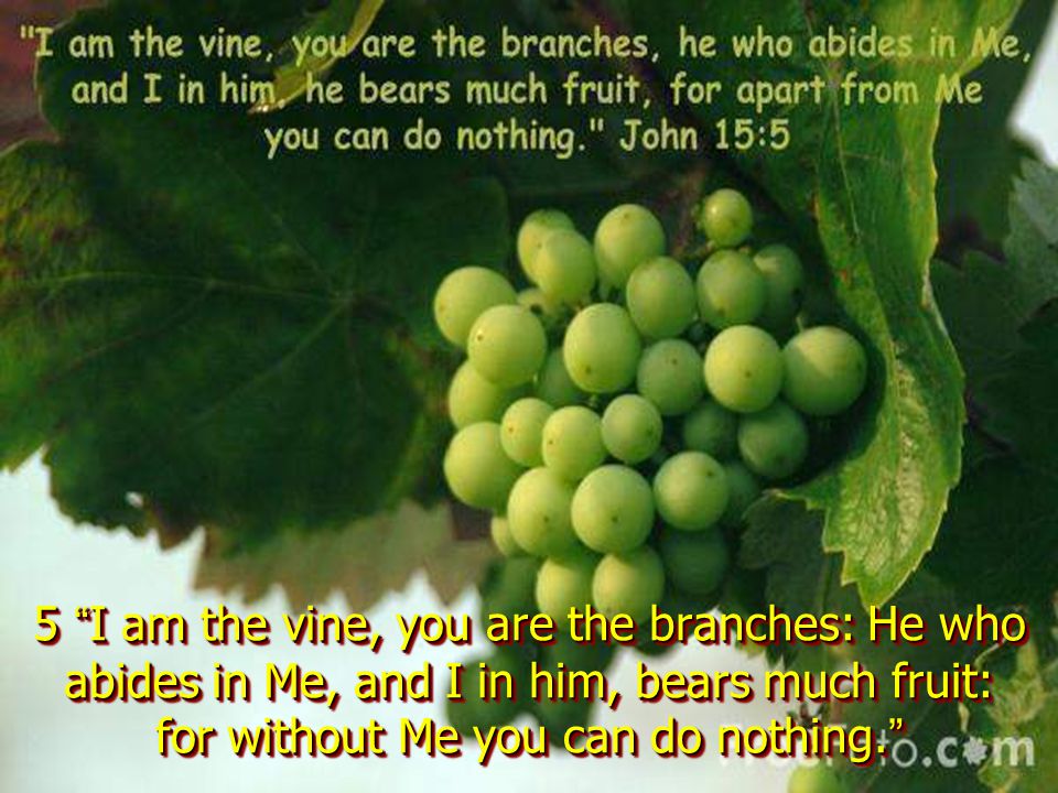 5 I am the vine, you are the branches: He who abides in Me, and I in him, bears much fruit: for without Me you can do nothing.