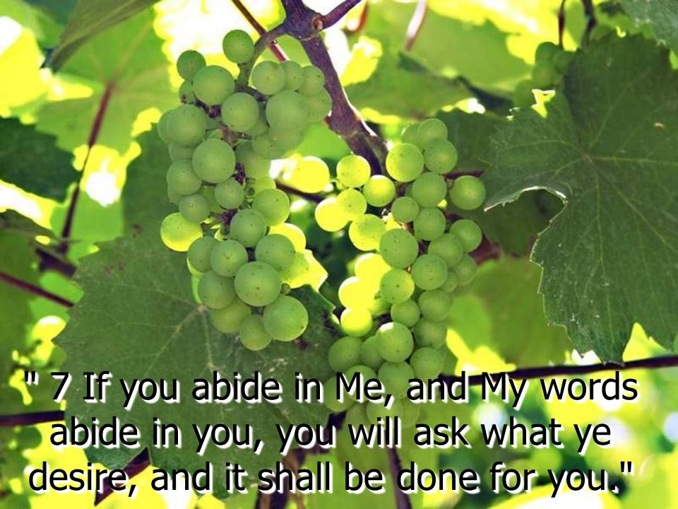 7 If you abide in Me, and My words abide in you, you will ask what ye desire, and it shall be done for you.
