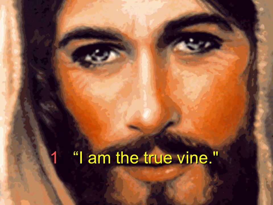 1 I am the true vine.