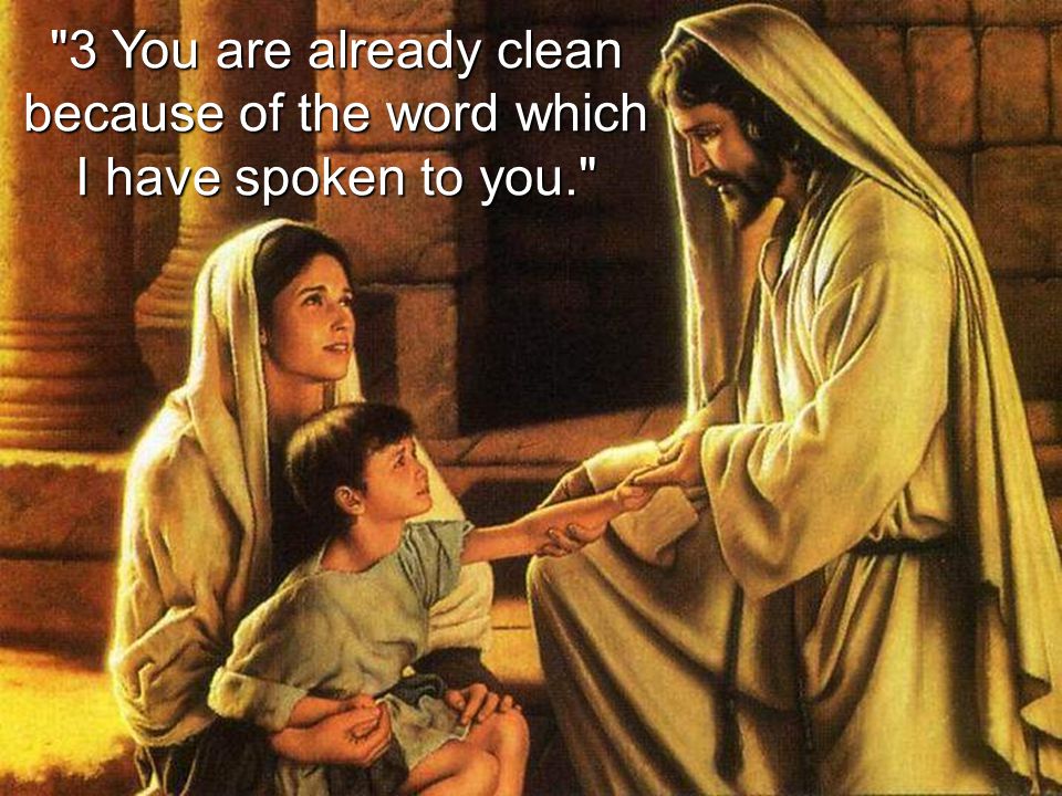 3 You are already clean because of the word which I have spoken to you.