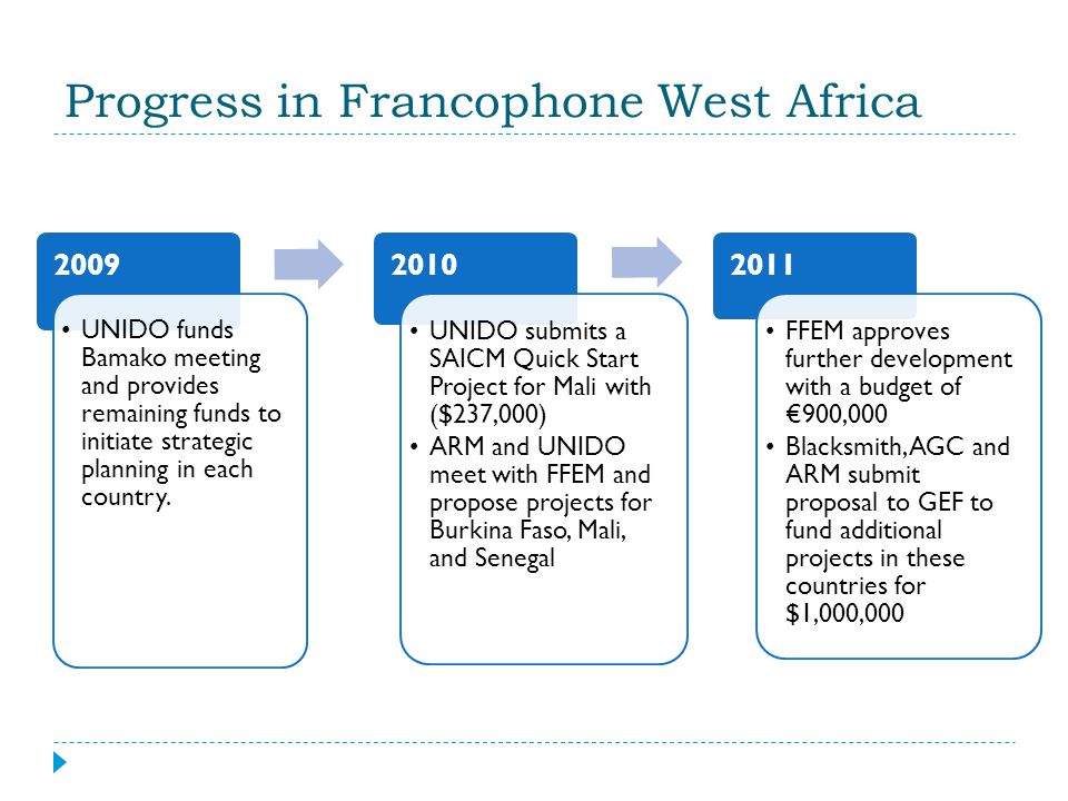 Progress in Francophone West Africa 2009 UNIDO funds Bamako meeting and provides remaining funds to initiate strategic planning in each country.
