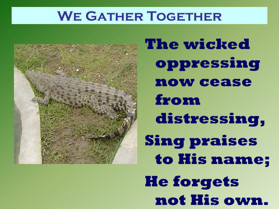 We Gather Together The wicked oppressing now cease from distressing, Sing praises to His name; He forgets not His own.