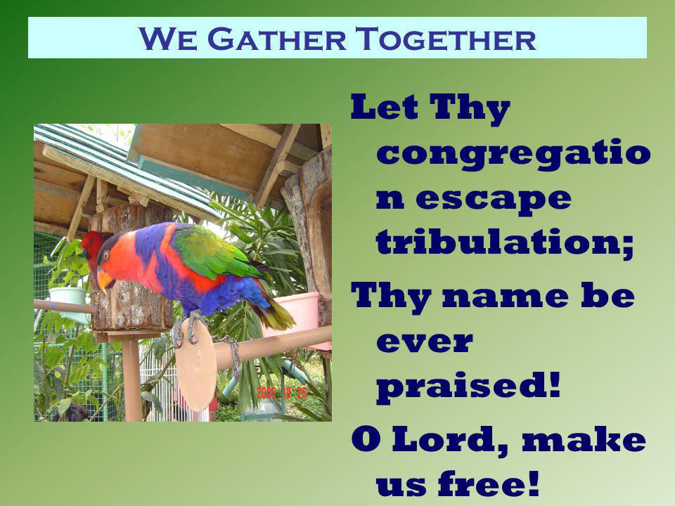 We Gather Together Let Thy congregatio n escape tribulation; Thy name be ever praised.