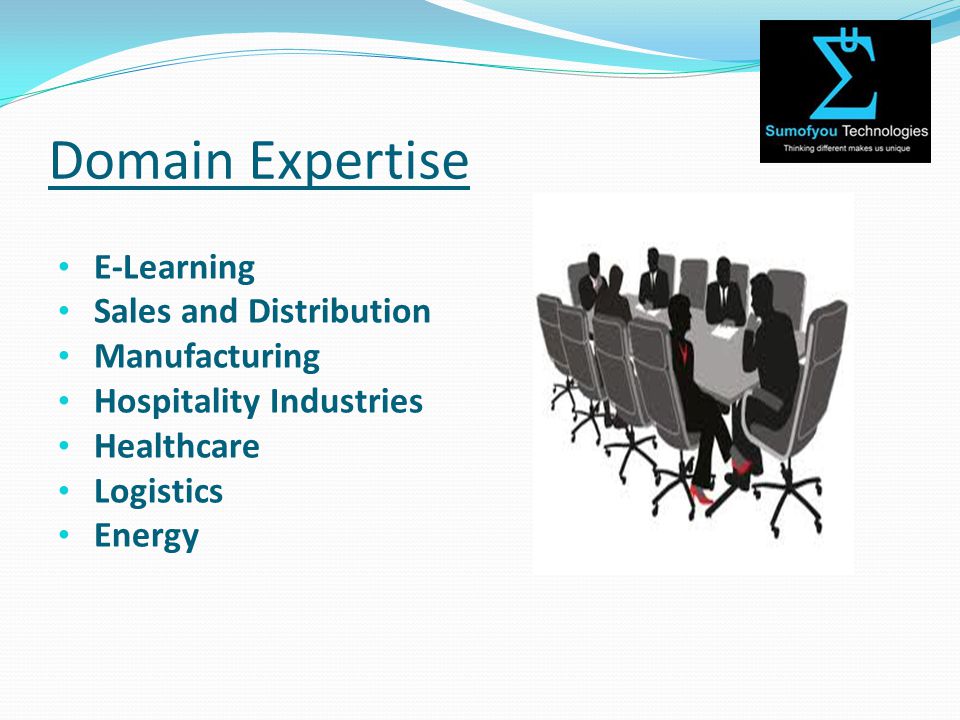 Domain Expertise E-Learning Sales and Distribution Manufacturing Hospitality Industries Healthcare Logistics Energy