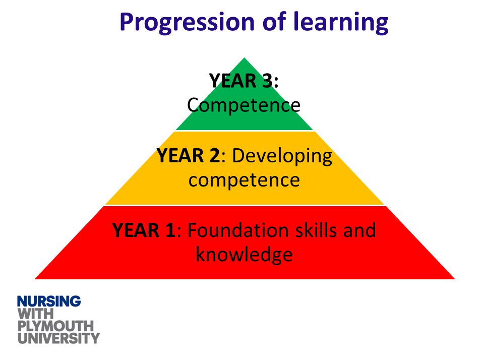 Progression of learning YEAR 3: Competence YEAR 2: Developing competence YEAR 1: Foundation skills and knowledge