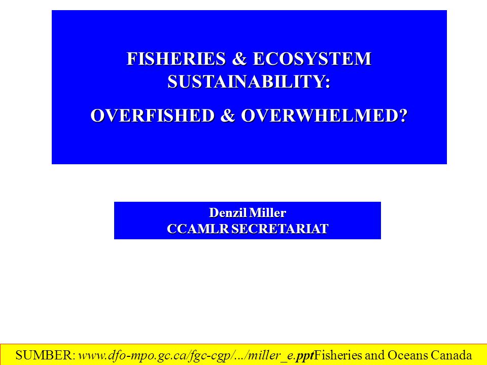 FISHERIES & ECOSYSTEM SUSTAINABILITY: OVERFISHED & OVERWHELMED.