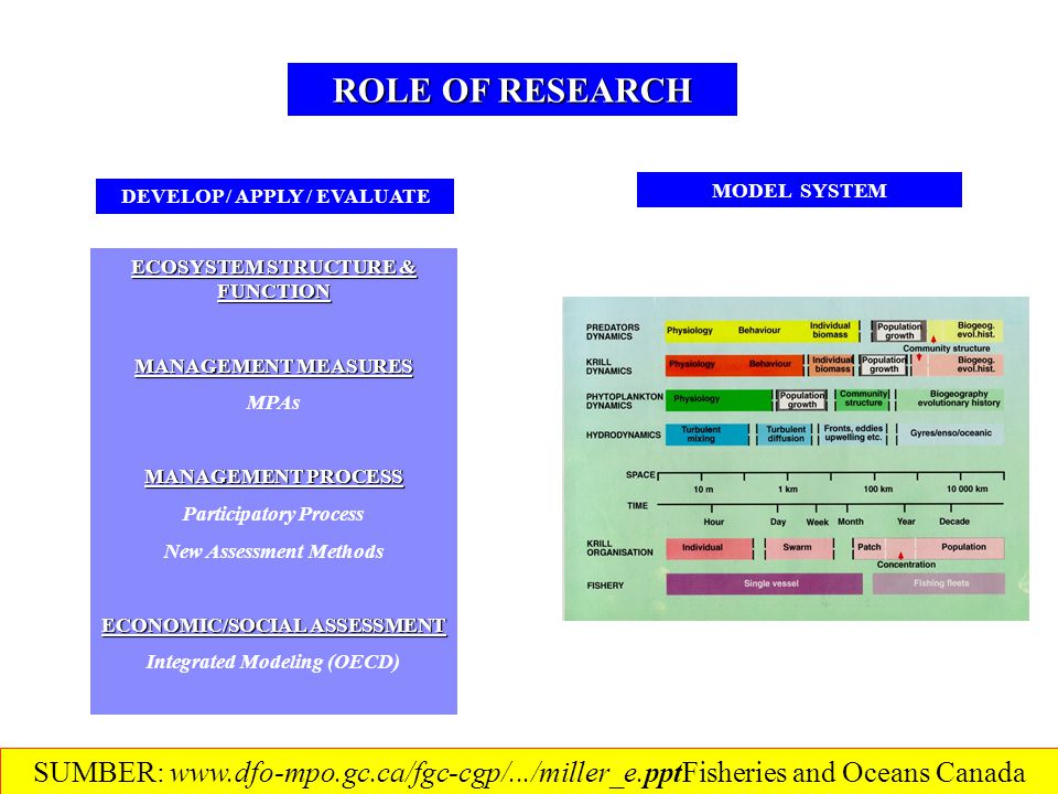 ROLE OF RESEARCH ECOSYSTEM STRUCTURE & FUNCTION MANAGEMENT MEASURES MPAs MANAGEMENT PROCESS Participatory Process New Assessment Methods ECONOMIC/SOCIAL ASSESSMENT Integrated Modeling (OECD) MODEL SYSTEM DEVELOP / APPLY / EVALUATE SUMBER:   and Oceans Canada