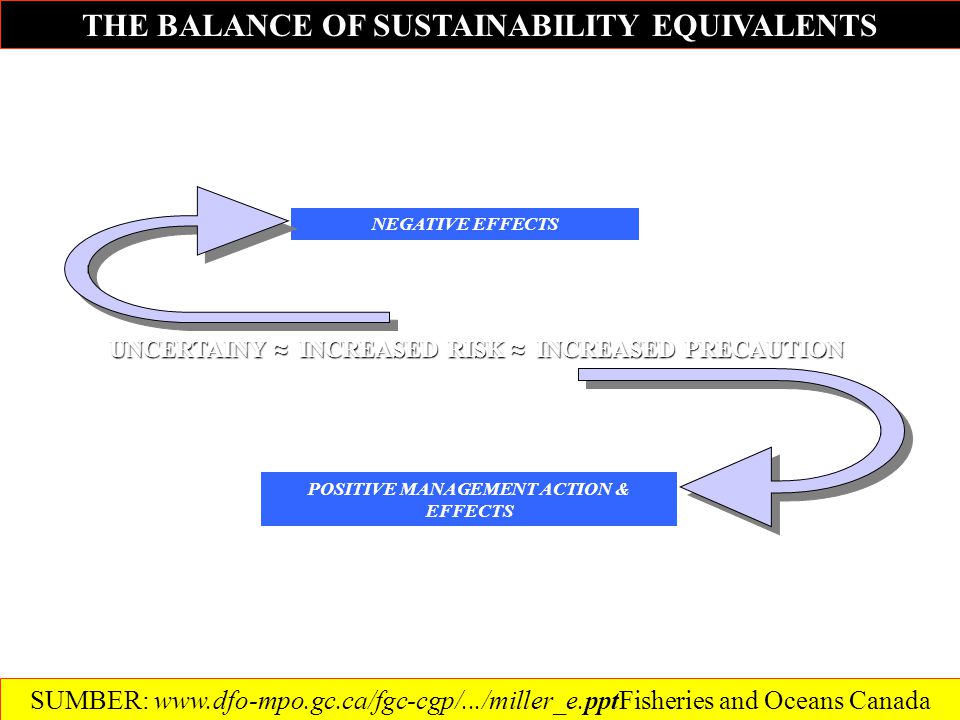 THE BALANCE OF SUSTAINABILITY EQUIVALENTS UNCERTAINY ≈ INCREASED RISK ≈ INCREASED PRECAUTION POSITIVE MANAGEMENT ACTION & EFFECTS NEGATIVE EFFECTS SUMBER:   and Oceans Canada