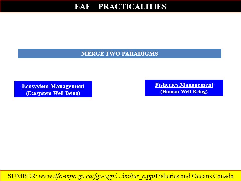 EAF PRACTICALITIES MERGE TWO PARADIGMS Ecosystem Management (Ecosystem Well-Being) Fisheries Management (Human Well-Being) SUMBER:   and Oceans Canada