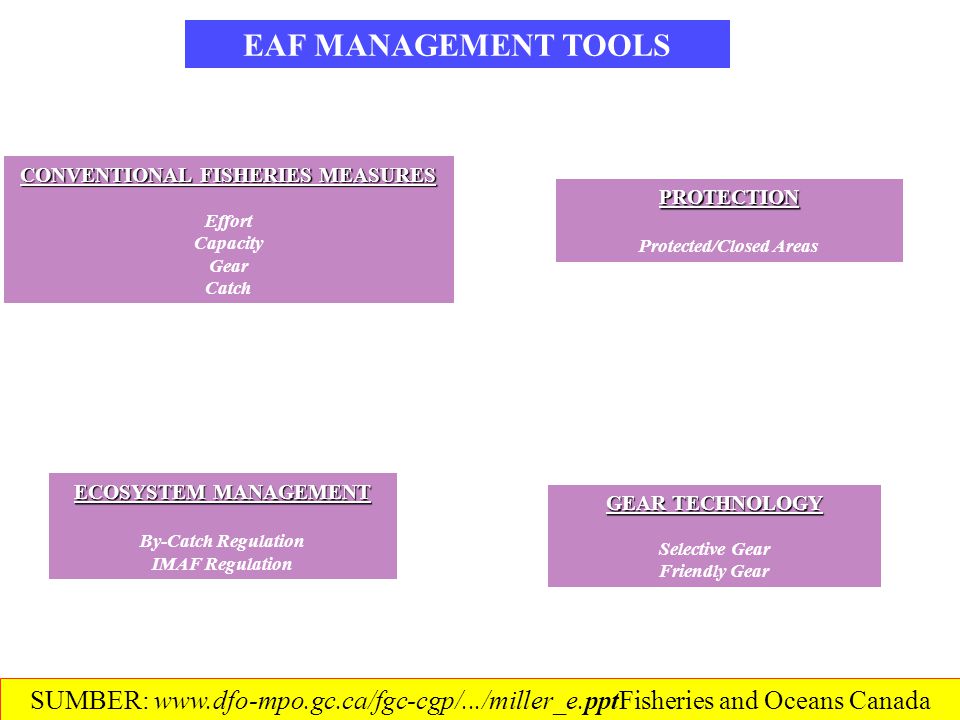 EAF MANAGEMENT TOOLS CONVENTIONAL FISHERIES MEASURES Effort Capacity Gear Catch GEAR TECHNOLOGY Selective Gear Friendly Gear ECOSYSTEM MANAGEMENT By-Catch Regulation IMAF Regulation PROTECTION Protected/Closed Areas SUMBER:   and Oceans Canada