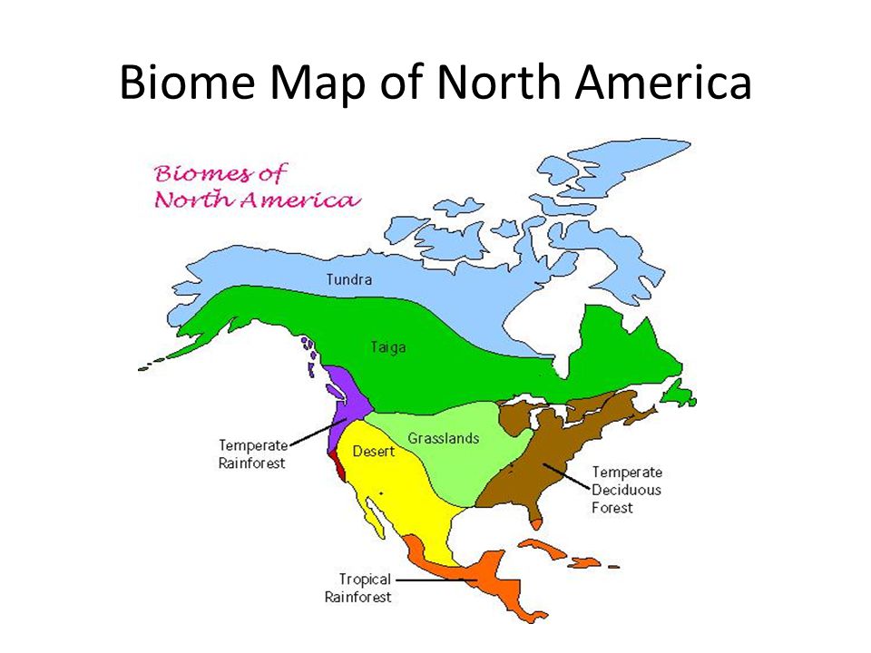 Biome Map of North America.