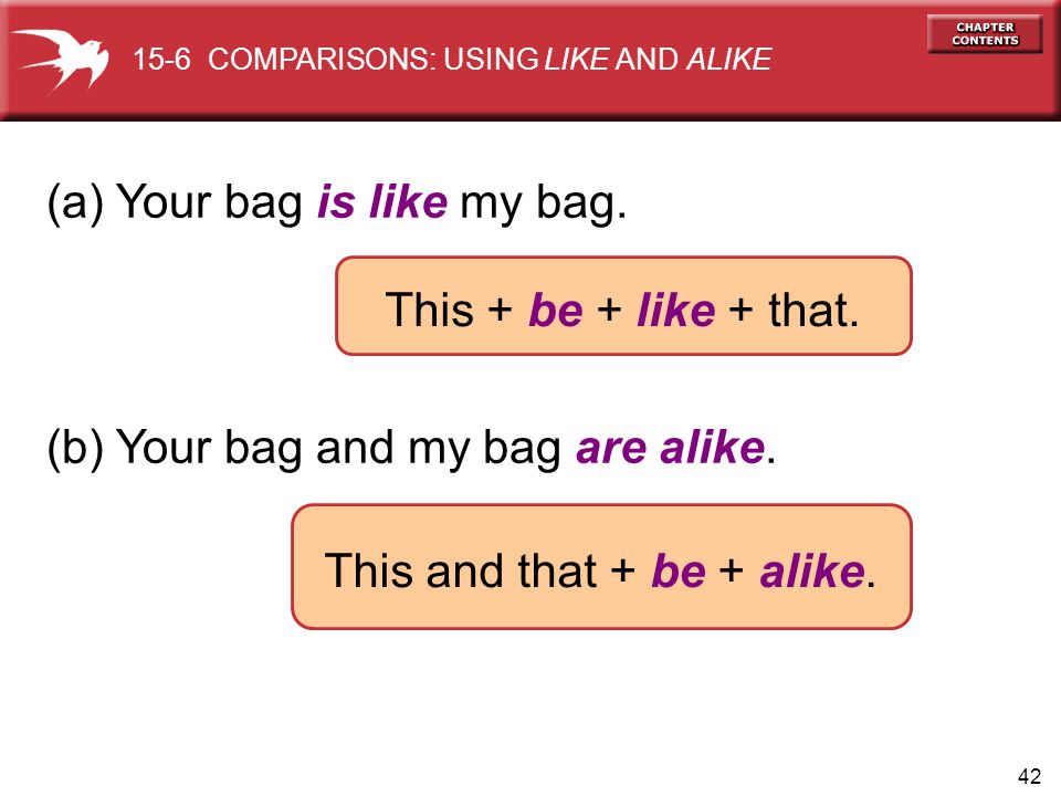 42 (a) Your bag is like my bag. (b) Your bag and my bag are alike.