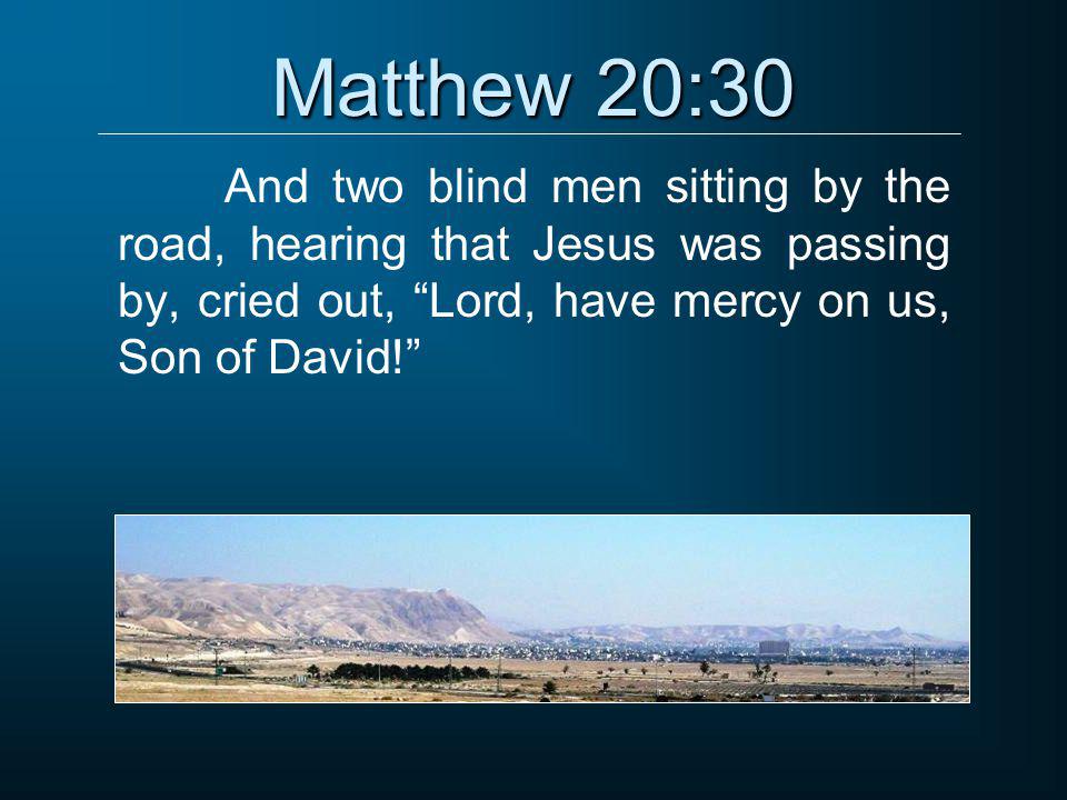 Matthew 20:30 And two blind men sitting by the road, hearing that Jesus was passing by, cried out, Lord, have mercy on us, Son of David!