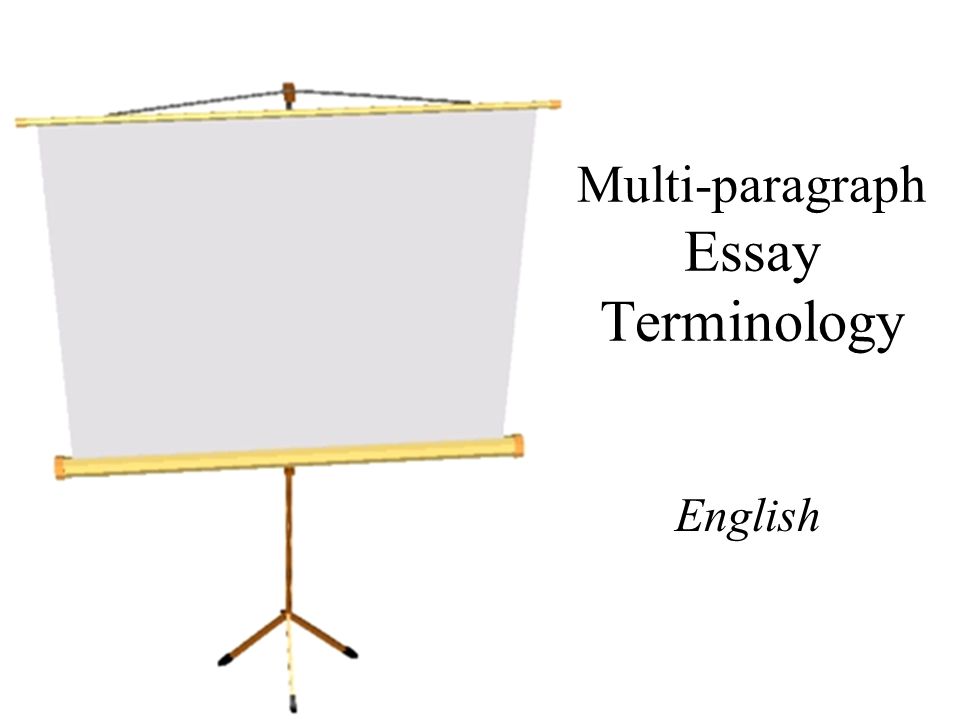 Multi-paragraph Essay Terminology English